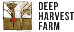 Deep Harvest Logo