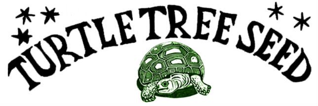 Turtle Tree Seed logo